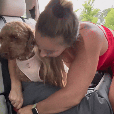 Eco Leather Dog Car Seat (2)